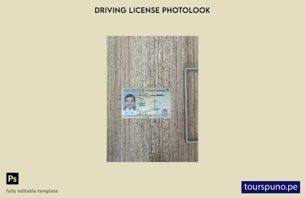 listo para imprimir plantilla frontal de aspecto fotográfico del permiso de c 13